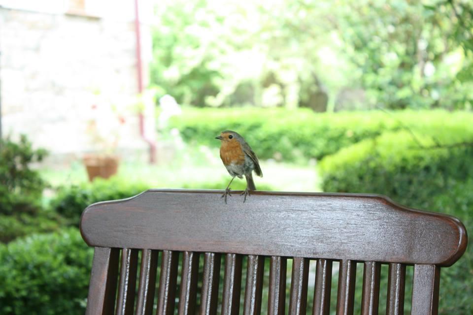 Alojamento de Acomodação e Pequeno-almoço El Balcon Del Eume, Cantina Rio Coves *